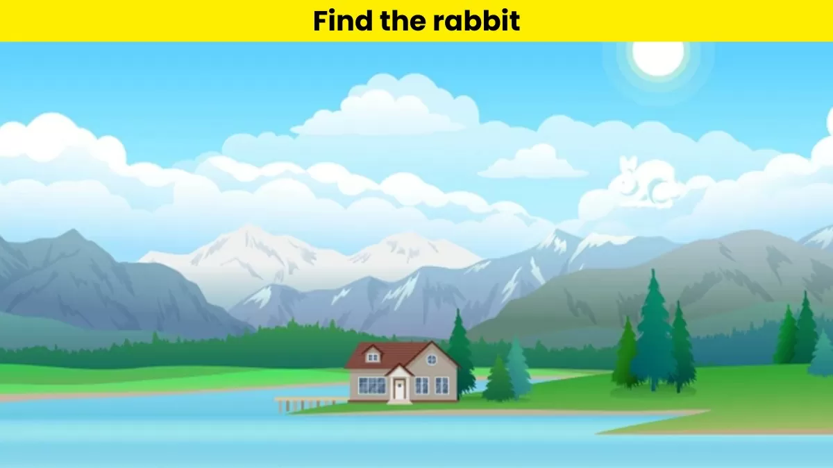 Visual Test - Find the rabbit 