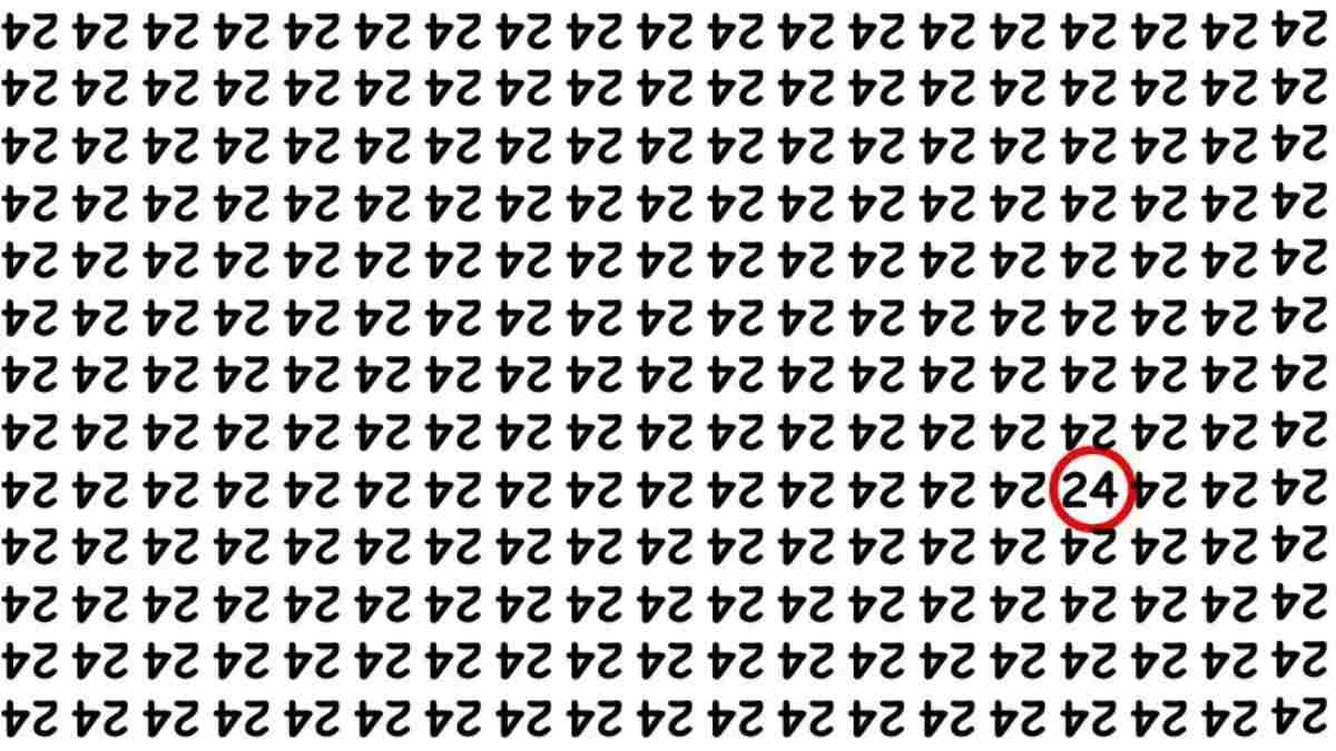 Illusion Pictures With Hidden Images With Answers If You Have Extra Sharp Eyes, Find the Hidden Number 24 in 5 Seconds!