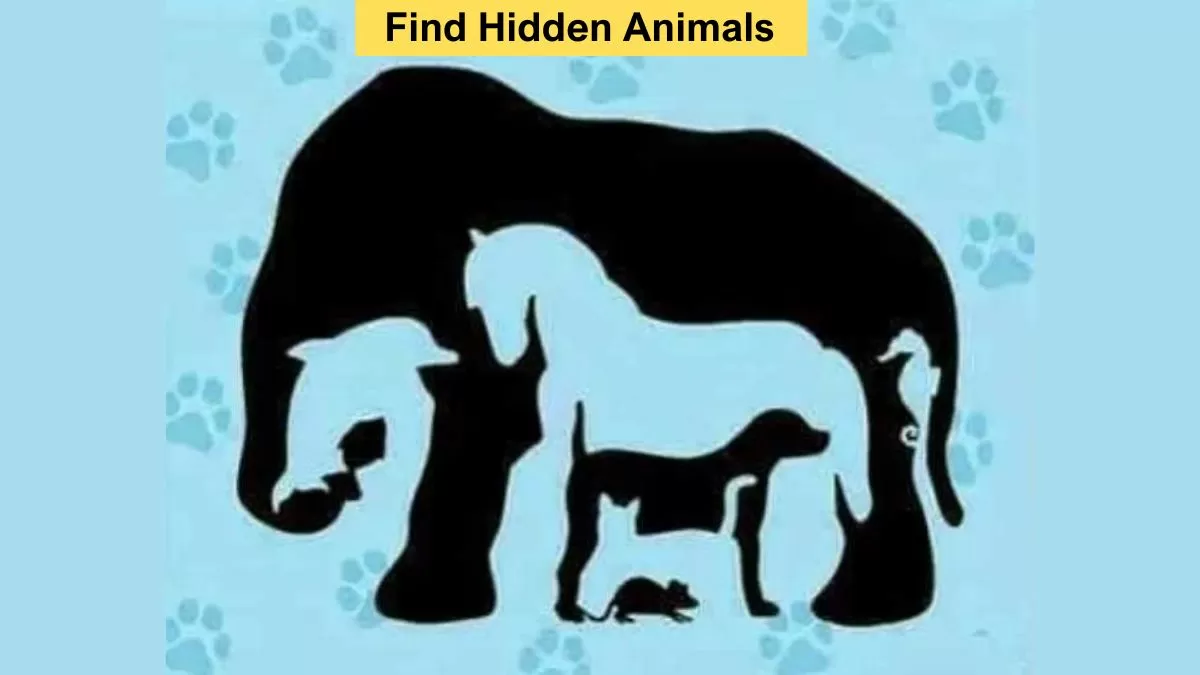 Find All Hidden Animals in 11 Seconds