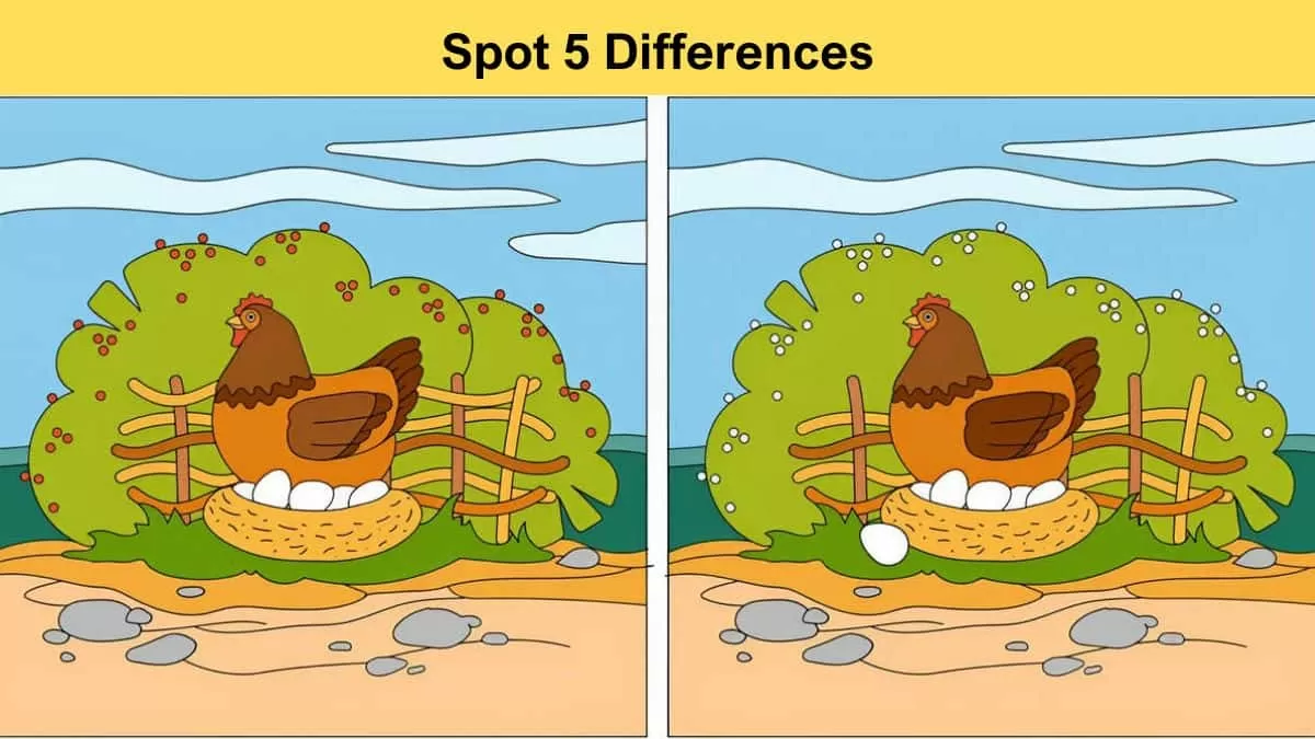 Spot 5 differences between the two hen with eggs pictures in 12 seconds!