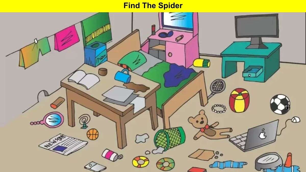 Find the hidden spider within 7 seconds.