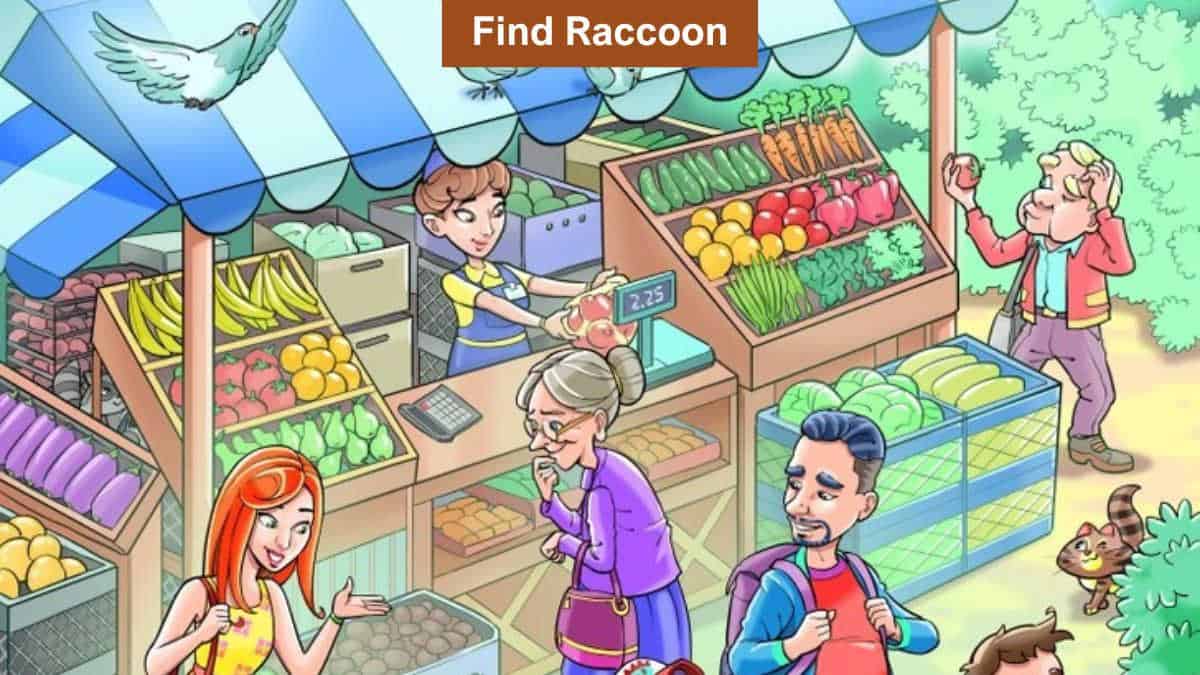 You have eyes of a falcon if you can find the hidden raccoon in the shop in 9 seconds!