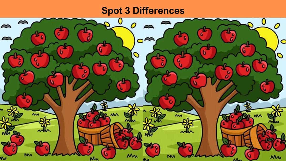 Spot 3 differences between the apple tree pictures in 11 seconds!