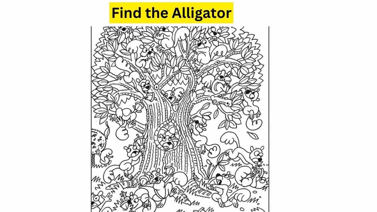 Brain Teaser For IQ Test: Can you solve this impossible puzzle by finding the alligator in 33 seconds? Try Your Skills
