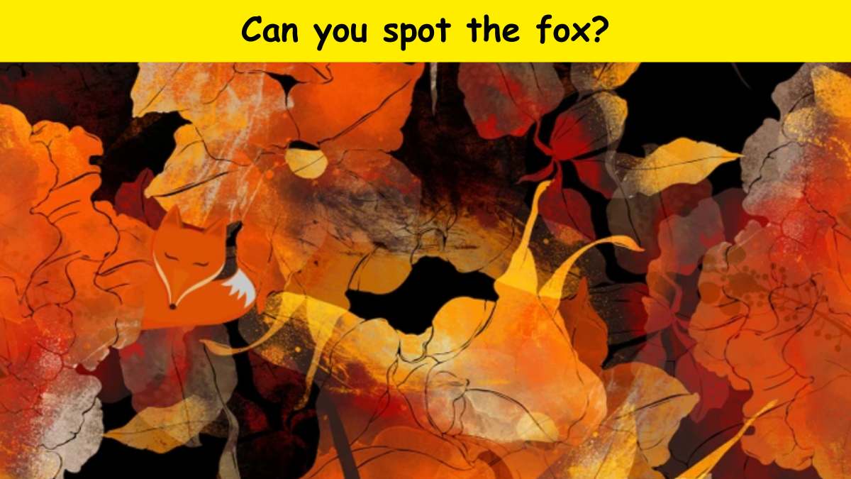 Optical Illusion Challenge: Can you spot the fox hidden in the autumn leaves within 6 seconds? 