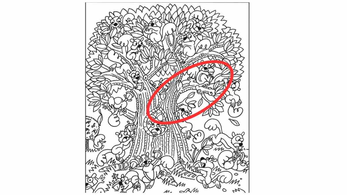 the alligator is hidden here