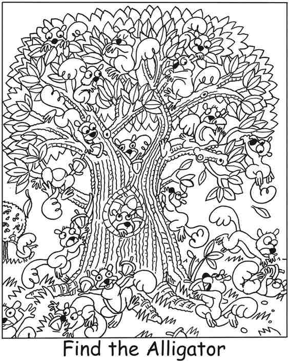 can you find the alligator in the scurry