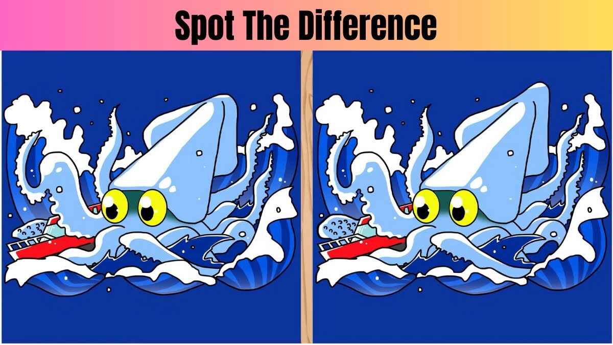 This Squid Image Has 3 Differences But Only The Sharp Eyed Can Find Them