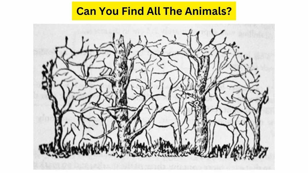 Optical Illusion Puzzle Challenge: How Fast You Can Find All The Animals Hidden In The Picture?