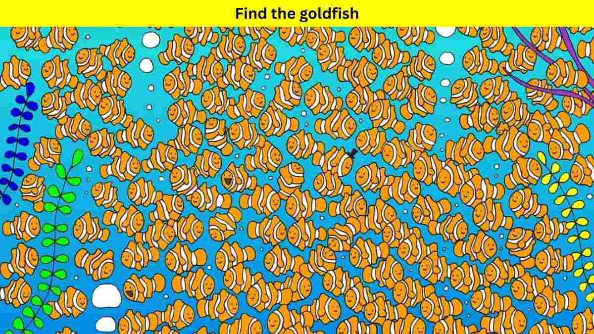 Puzzle IQ Test: Use Your Sharp Vision To Spot The Gold Fish Among Cat Fishes In 7 Seconds!