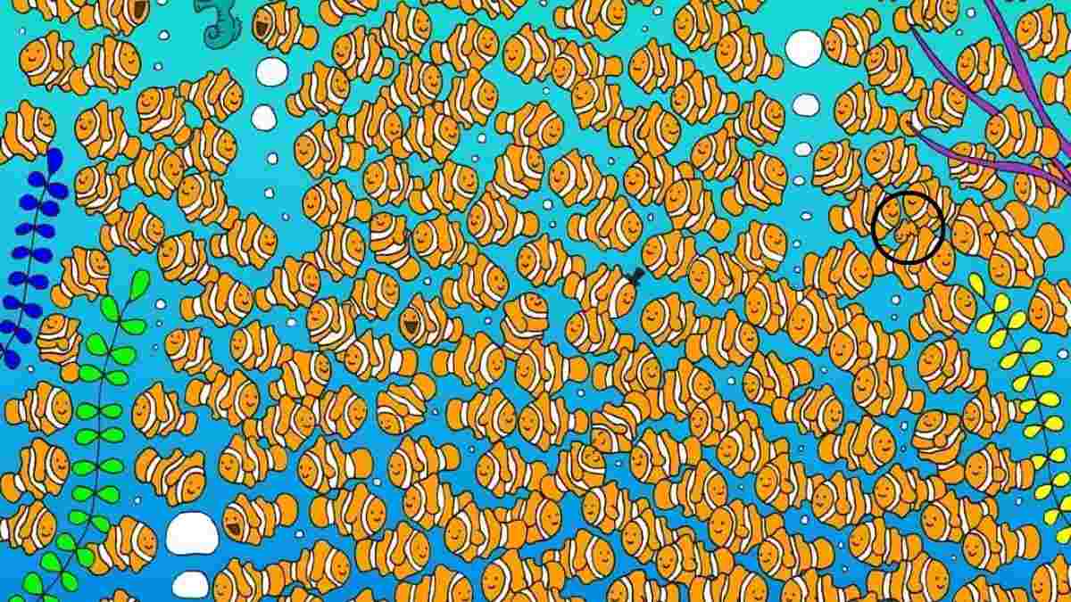 picture puzzles with answers