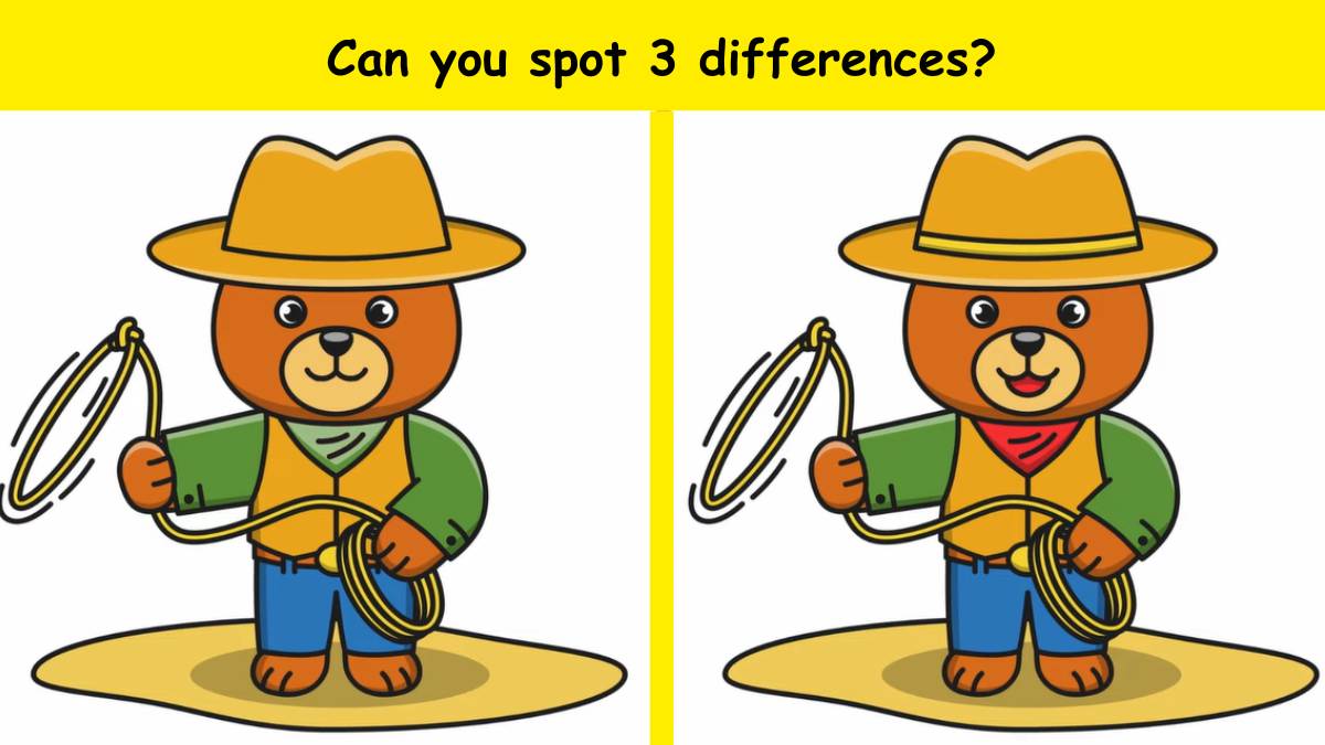 Use your eagle eyes and spot 3 differences in the cowboy teddy picture within 9 seconds. 