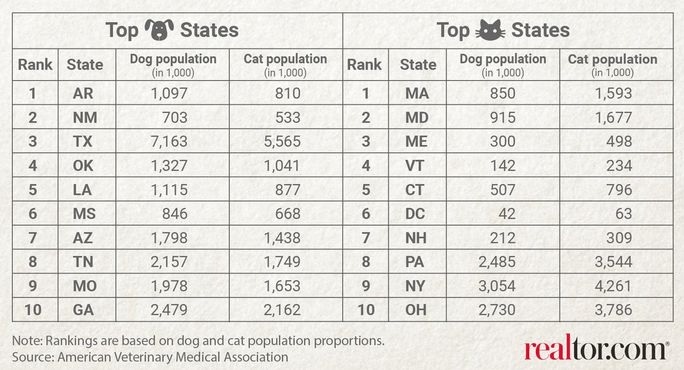 top 10 cat states and dog states in US