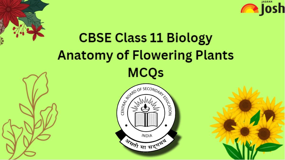 CBSE Anatomy of Flowering Plants Class 11 MCQs