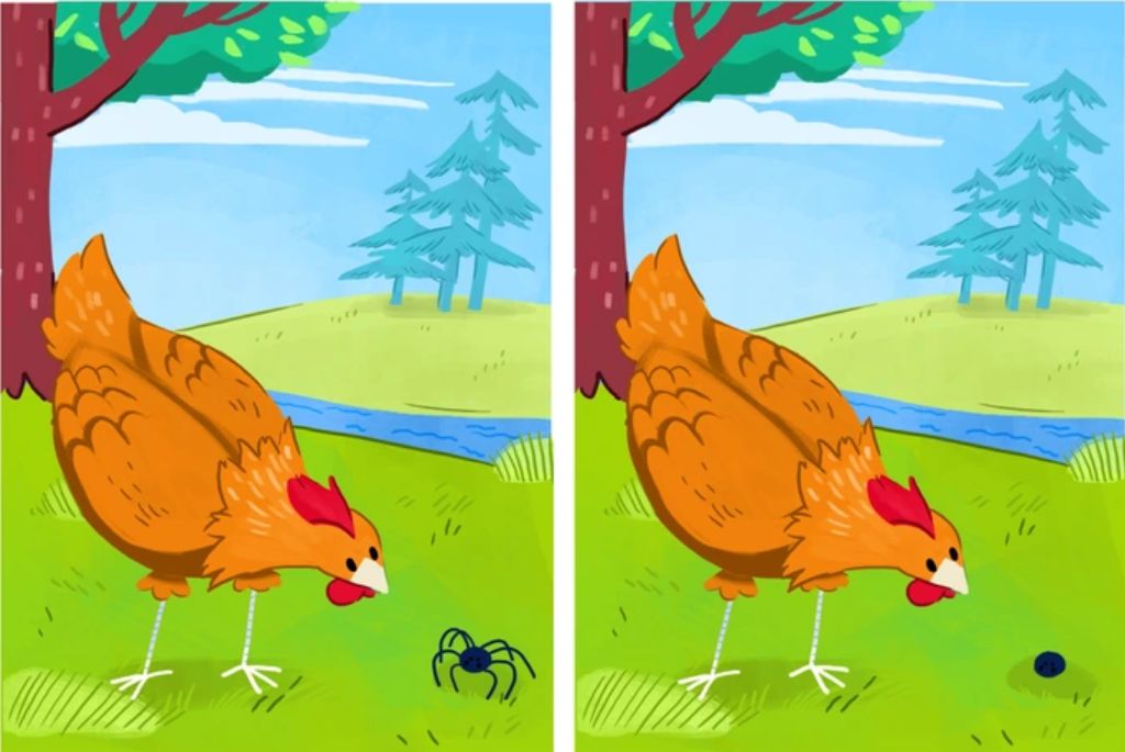 Only the most observant can spot 9 differences between the hen pictures ...