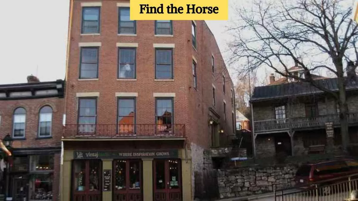 Find the hidden horse