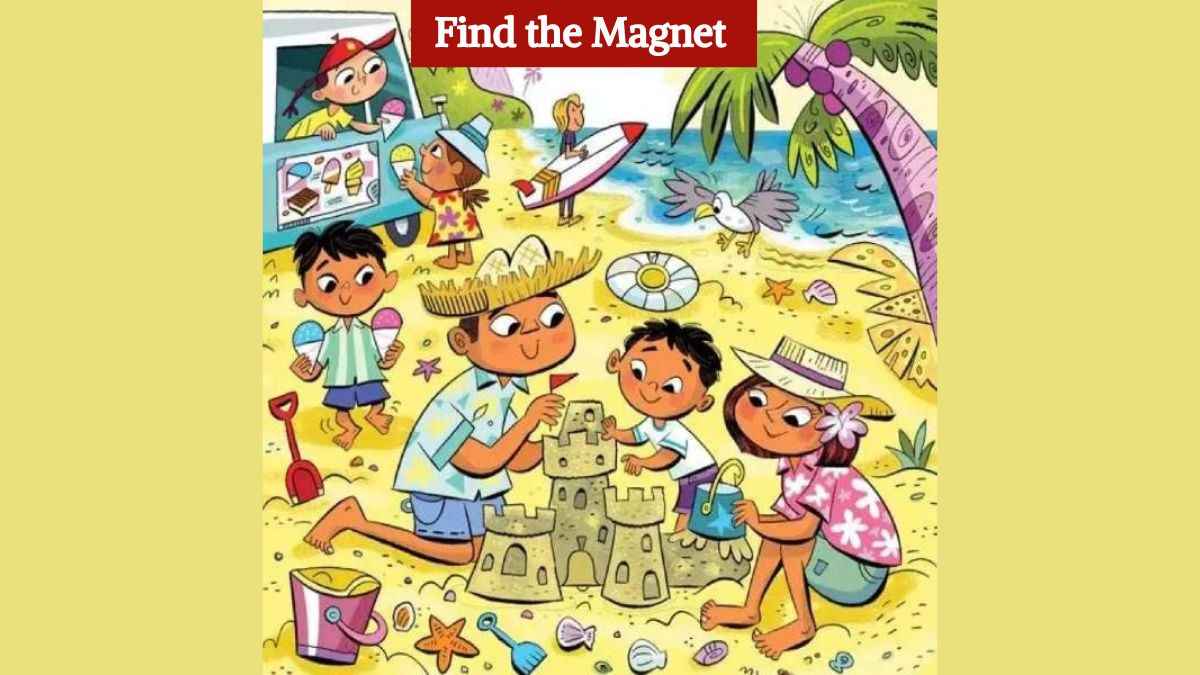 Only eagle eyed readers can spot the magnet on the beach in 5 seconds!