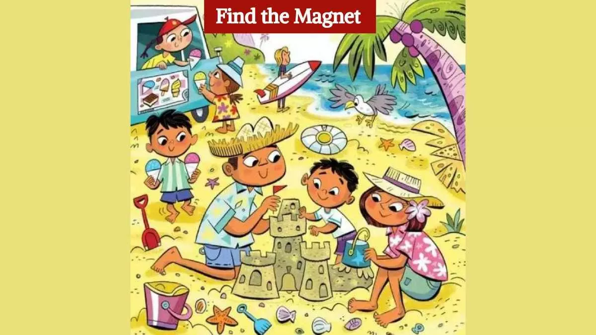 Find the magnet