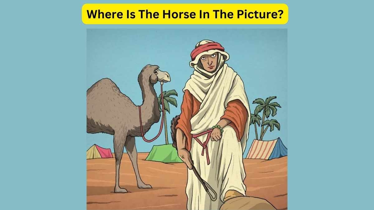 All Can See Camel But Only 1% Of Genius Can Find The Horse Hidden In The Picture. 33 Seconds Left!