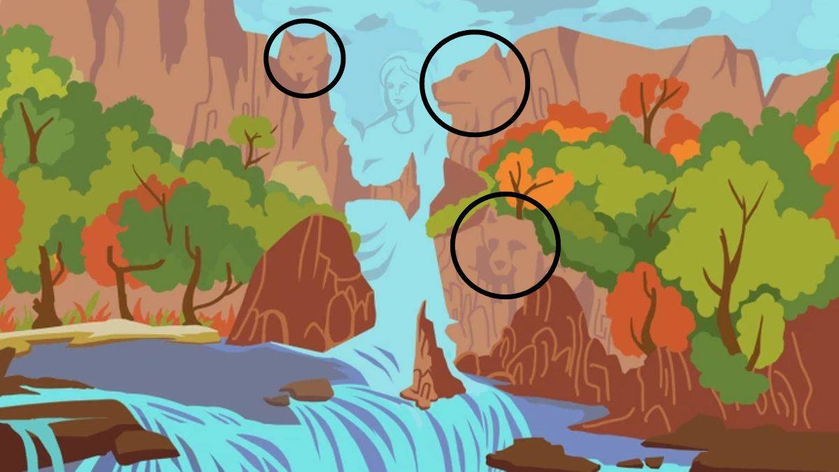 optical illusion personality test