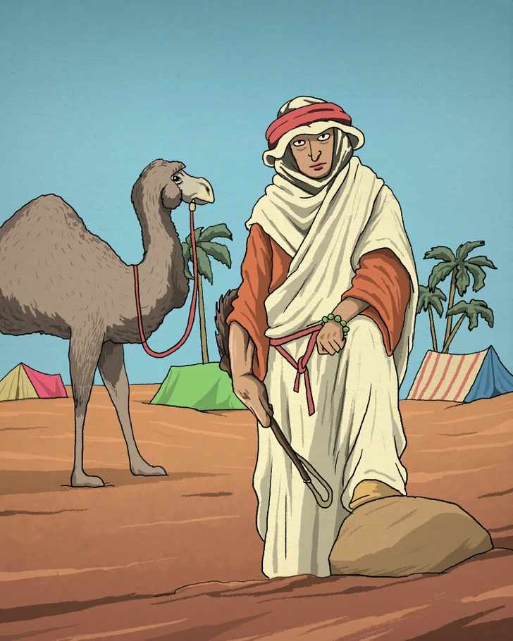 where is the horse in picture