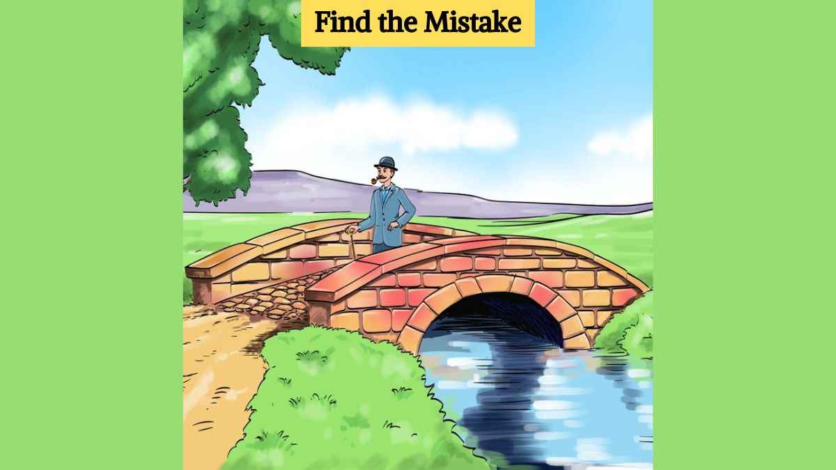 Picture Puzzle IQ Test: Find the mistake in the village picture in 5 seconds!