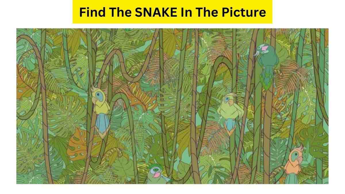 99 of people failed to find the snake hidden in the picture puzzle 7