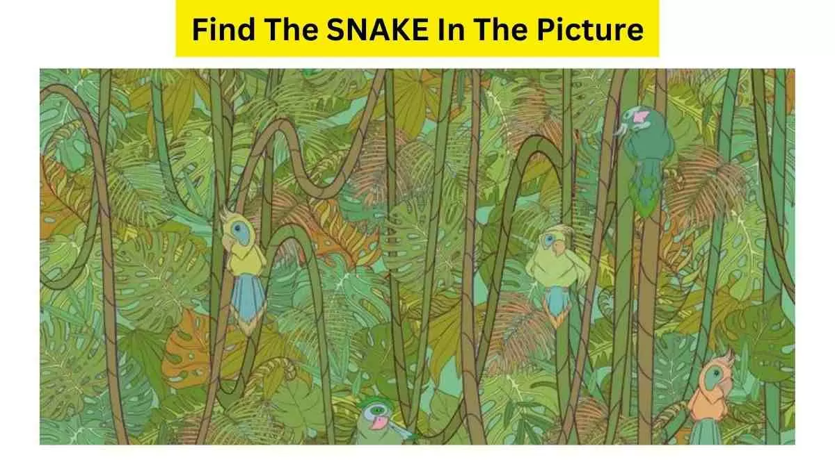 Spot The Snake!