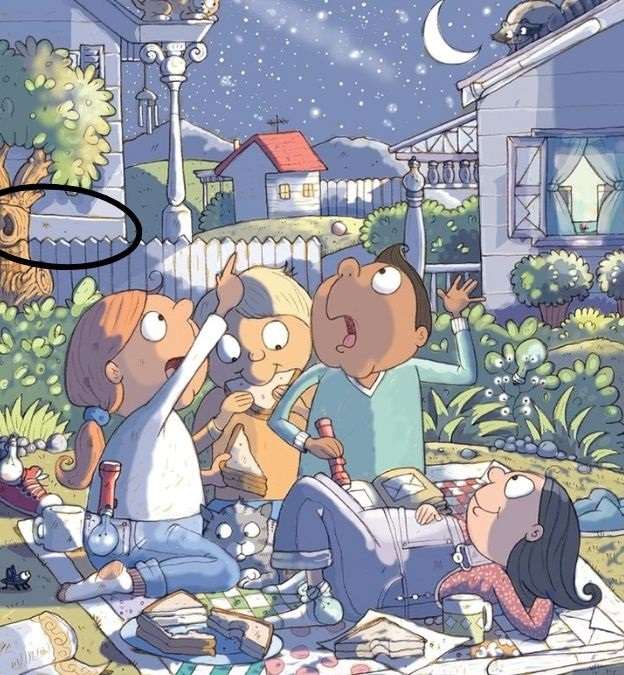 hidden objects picture puzzles with answers