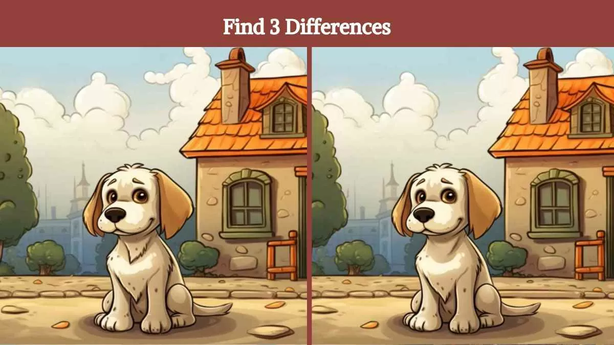 Find 3 differences in 15 seconds