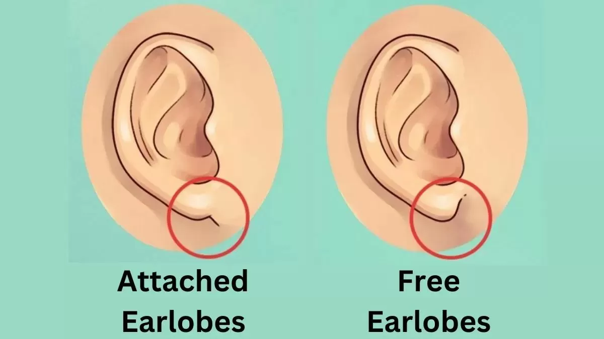 Earlobes Personality Test