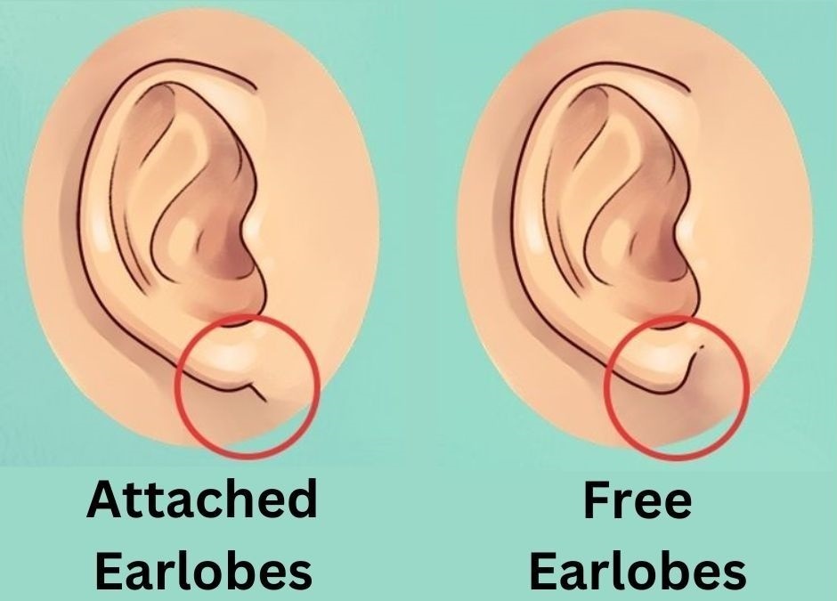 earlobes personality traits