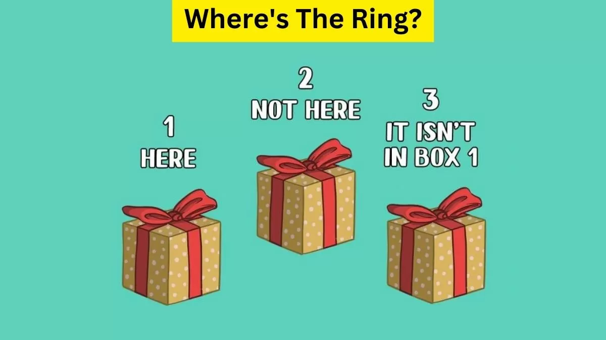 Spot The Box With Ring!