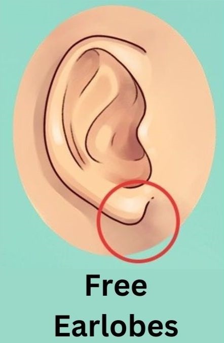 Free Earlobe Personality Traits