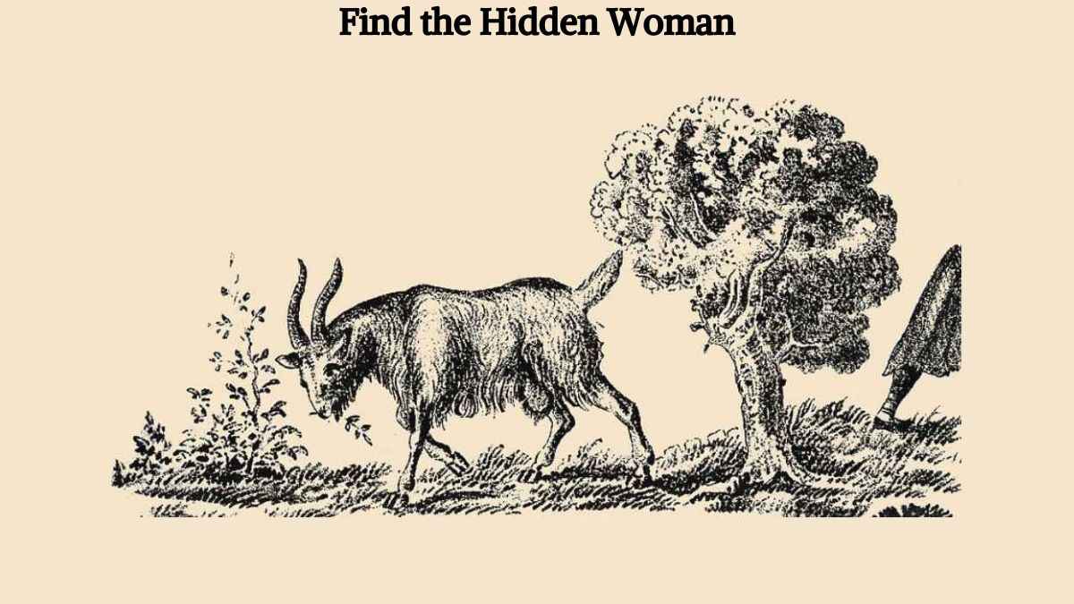 find the hidden face
