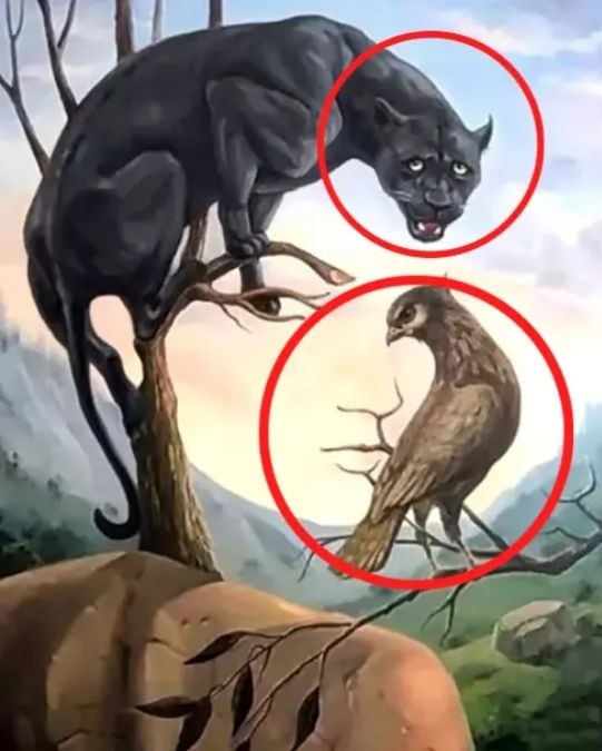 what you see first reveals personality