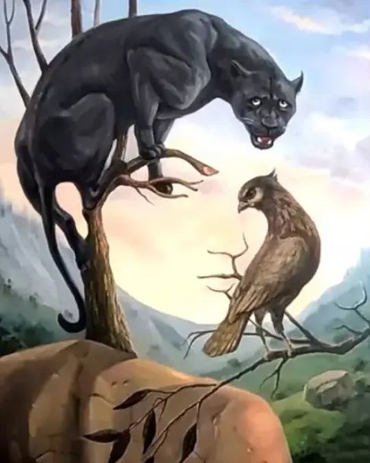 optical illusion personality test