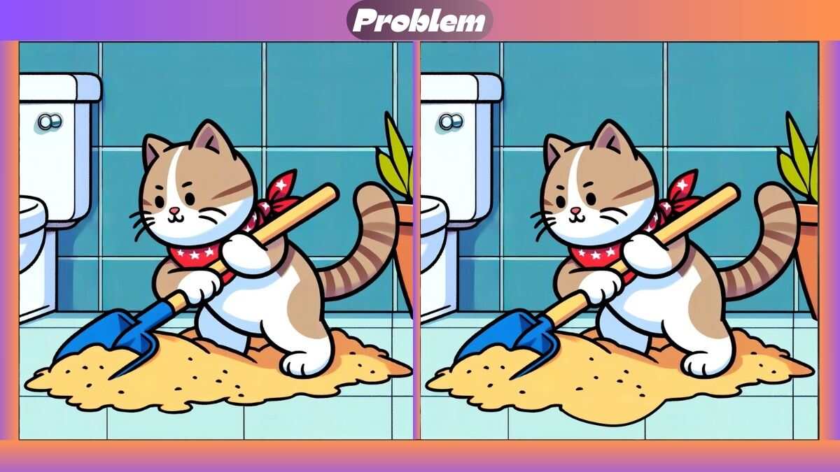 Find 3 Differences In 15 Seconds In This Cleaning Cat Scene