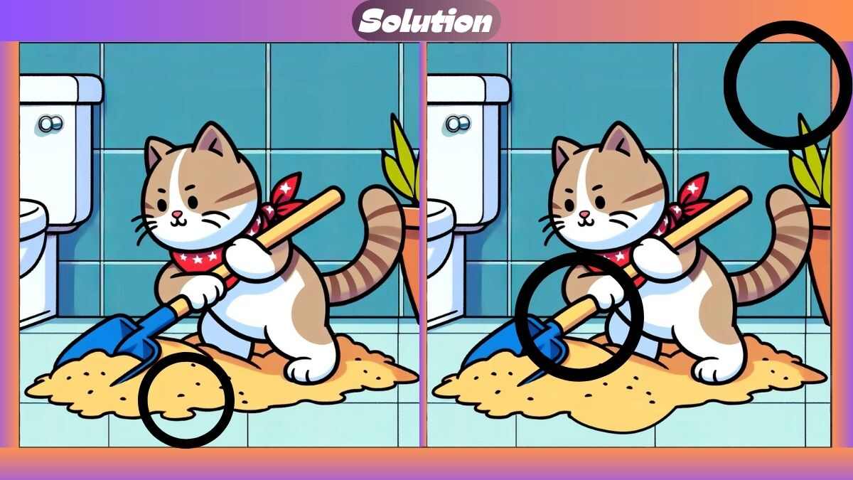 Find 3 Differences In 15 Seconds In This Cleaning Cat Scene