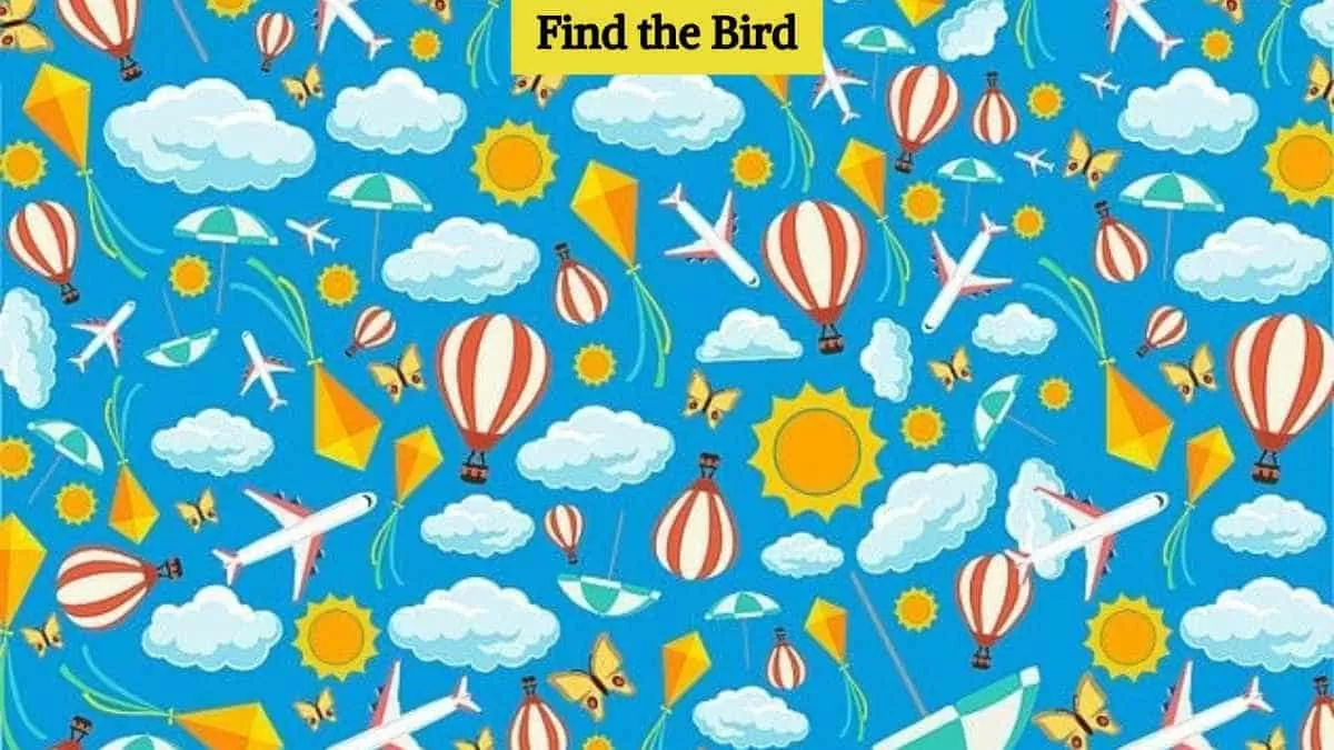 Find hidden bird