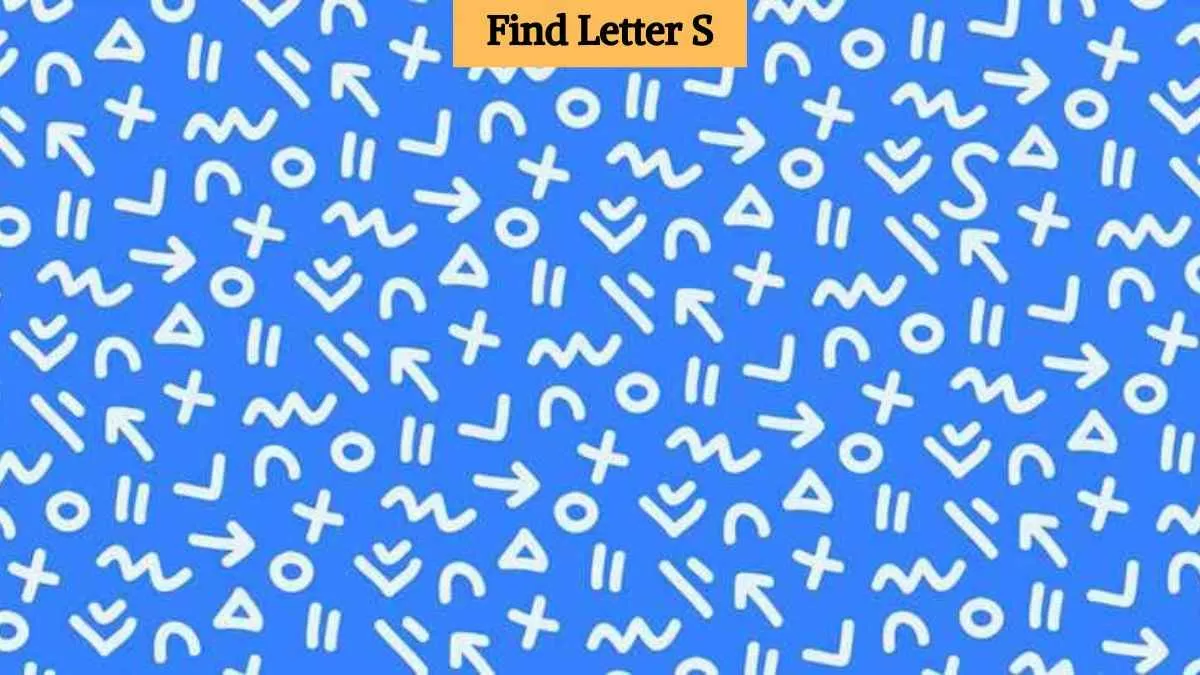 Optical Illusion Vision Test: Find the hidden letter S in the picture ...