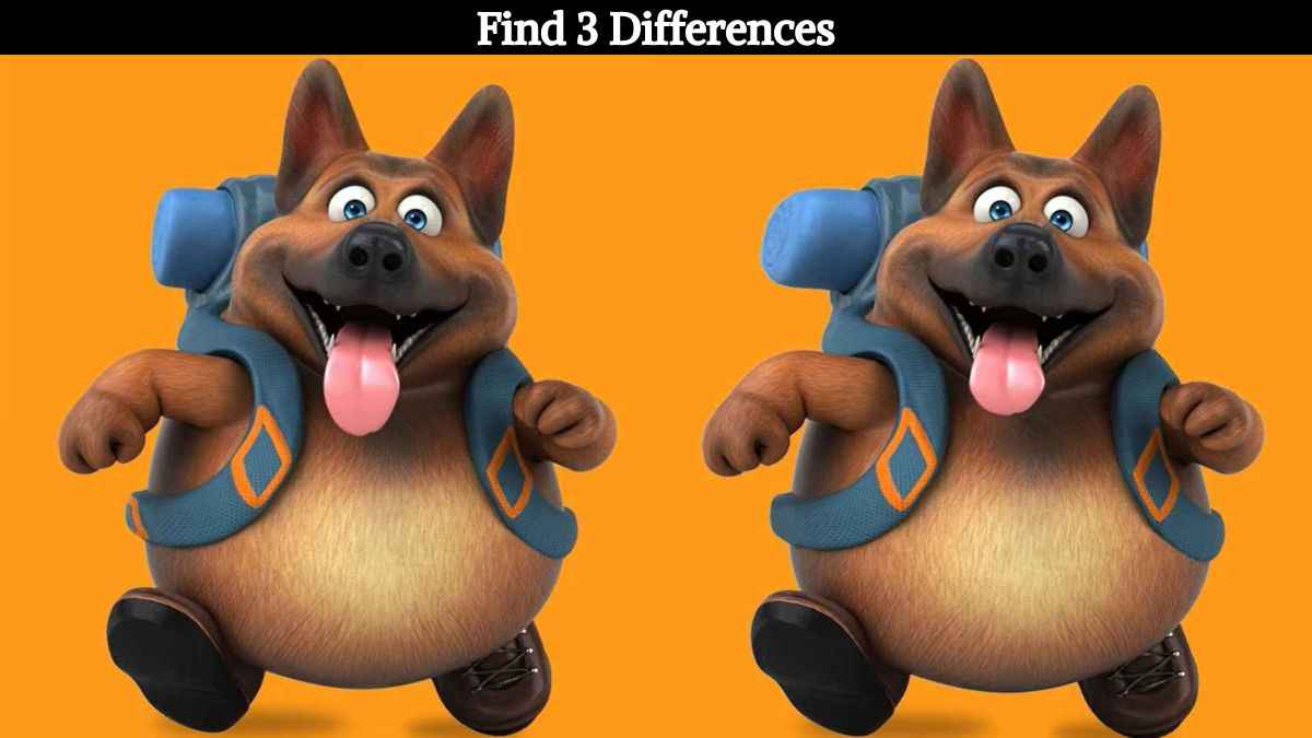 Find 3 differences between the dog pictures in 10 seconds!