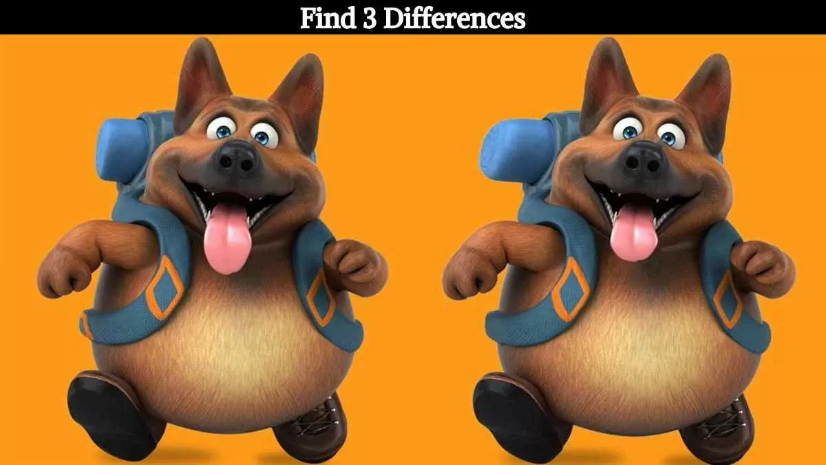 Find 3 differences in 10 seconds