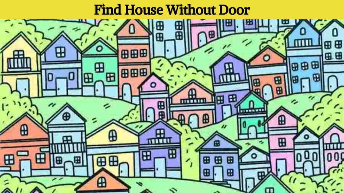 Only a puzzle champion can spot the house without a door in 7 seconds!