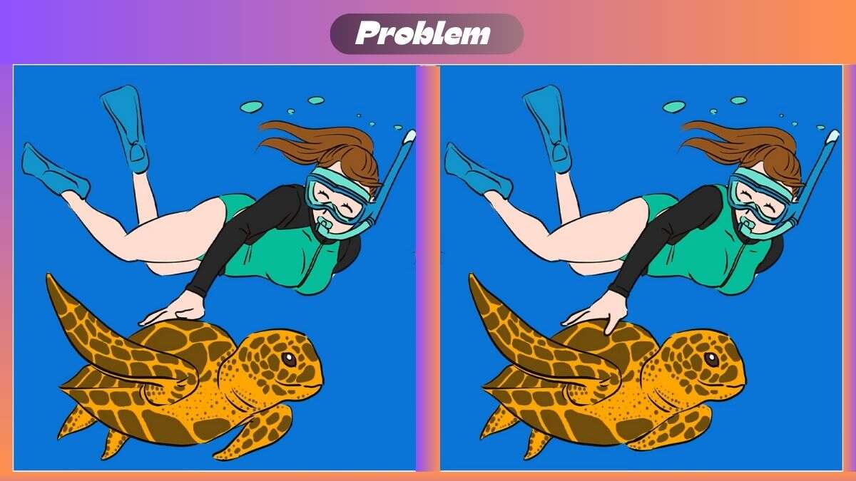 Find 3 Differences In 32 Seconds In Girl And a Tortoise Scene