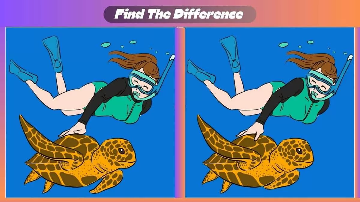 Find 3 Differences In 32 Seconds In Girl And a Tortoise Scene