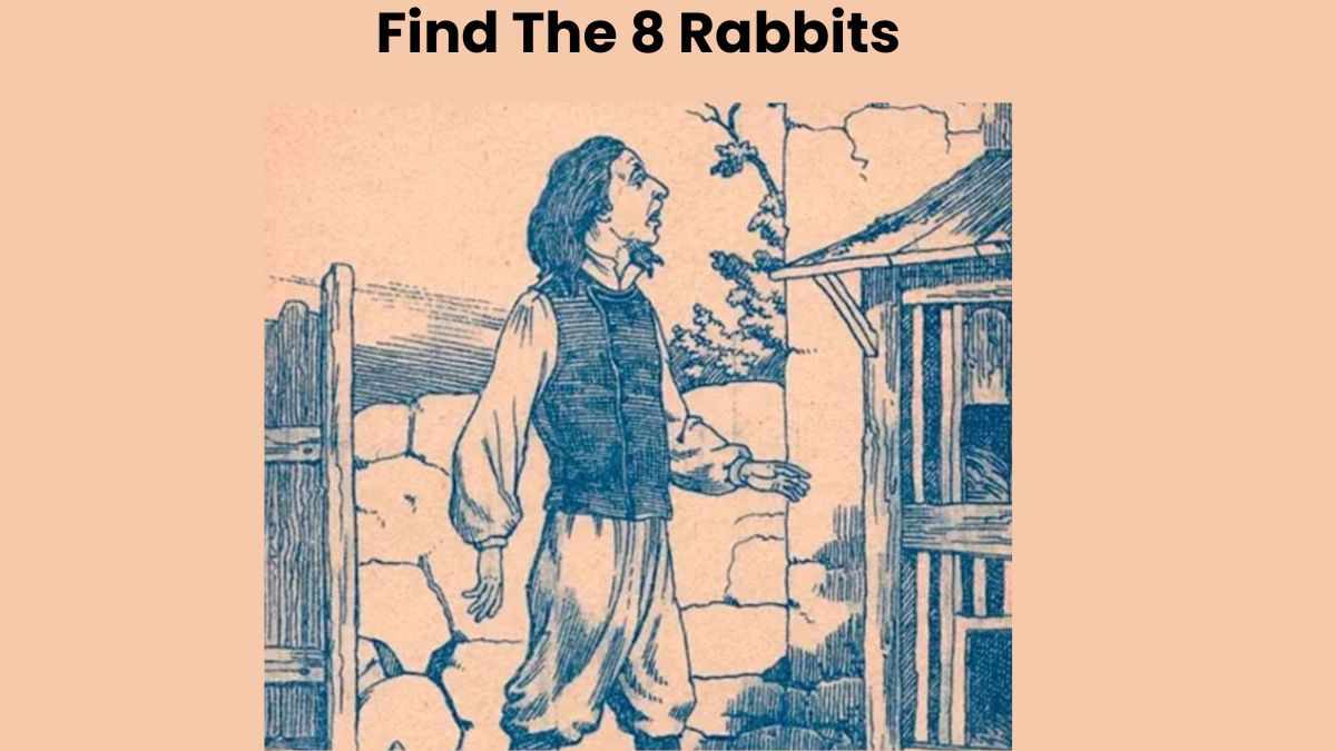 Can You Find All 8 RABBITS Hidden In This Optical Illusion Puzzle? 19 ...