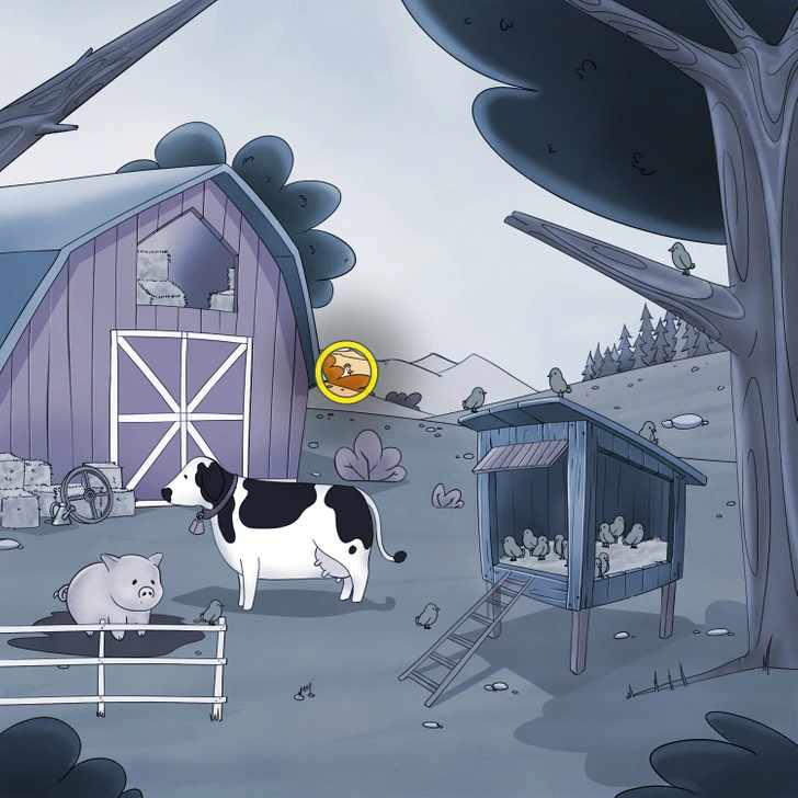 the hen is hidden here