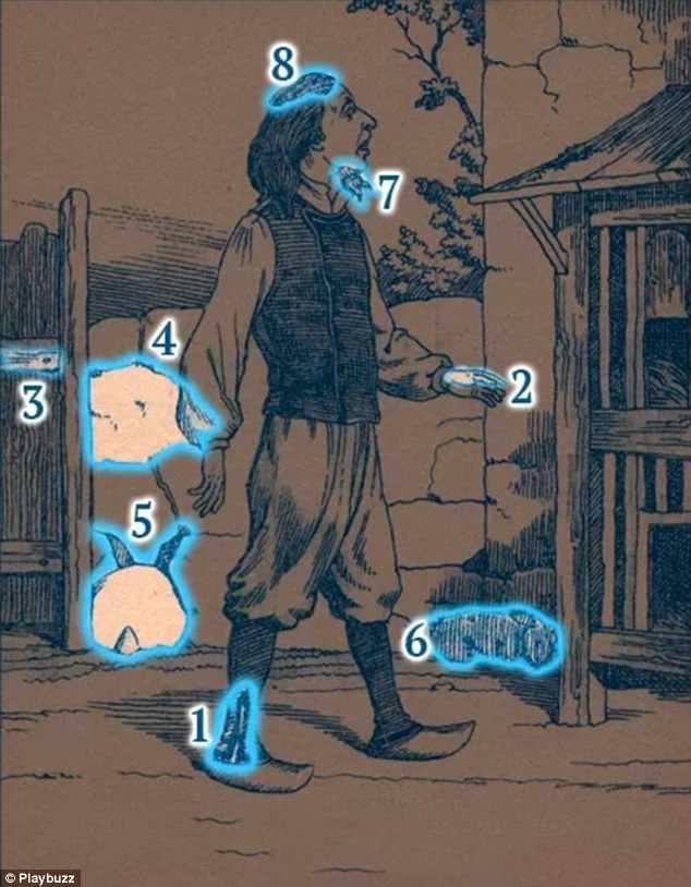 where are the rabbits in the picture