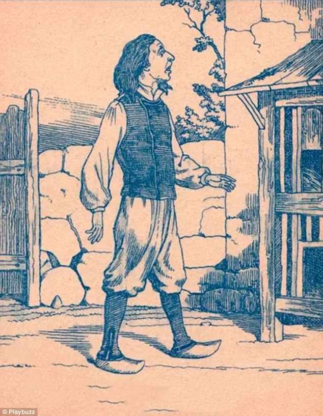 where are rabbits in the picture